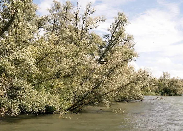 Ξενοδοχείο A-hotel 4*